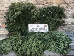 Mut'ta uyuturucu operasyonu 4 gzalt