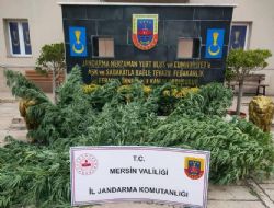 Uyuturucu Madde Operasyonu