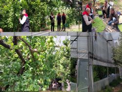 Mut'ta �rt� alt� Erik hasad� ba�lad�