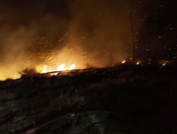 Kadıköy Mahallesinde sazlık alan yangını