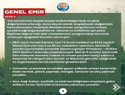 Ormanlar yangna kar korumak amacyla alnan kararlar