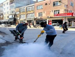 Mut'ta Sineksiz Yaz ��in B�y�k�ehir�den Yo�un M�cadele