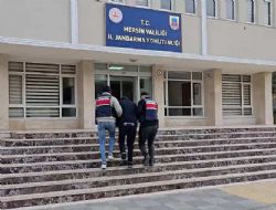 101 Suç Kaydı Olan Şahıs Jandarmadan Kaçamadı