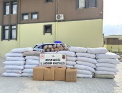 JANDARMADAN KAÇAK TÜTÜN OPERASYONU