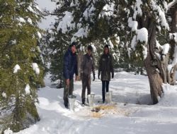 Mut'ta karda aç kalan hayvanlara yiyecek bırakıldı