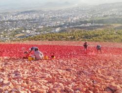 Dünyanın en büyük bayrağı esnaf desteği ile yeniden boyanıyor