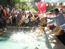 Mut Karacaoğlan Kayısı Festivali renkli anlara sahne oldu