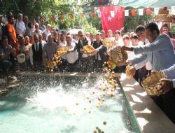 Mut Karacaolan Kays Festivali renkli anlara sahne oldu