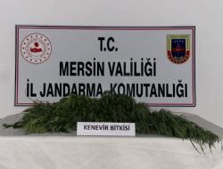 Mersin de uyuturucu operasyonu