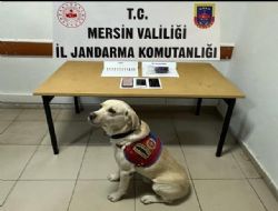 Uyuturucu madde operasyonu