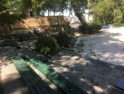 Mut naralt yine korkuttu