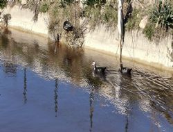 G�ksu �rmag�n� kirletene ceza