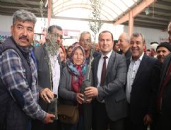 Mut Ziraat Odasından çiftçilere zeytin ve ceviz fidanı