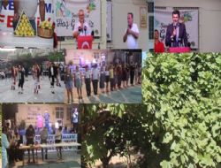 Mut Dereky Mahallesi 29'uncu ncir Festivali