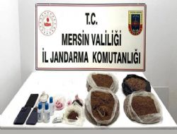 Jandarmadan uyu�turucu operasyonu