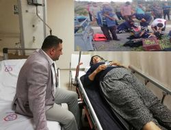 Zeytin ve ii tayan tak tak motoru devrildi 7 yaral