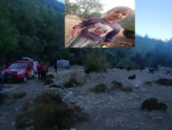 10 Kasımda kaybolan 3 yaşındaki çocuk hala bulunamadı