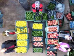 Mersin'den Avrupa'ya nar, limon ve avokado ihracat