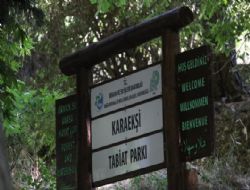 Mesire alan olan Karaki de iki yasam var