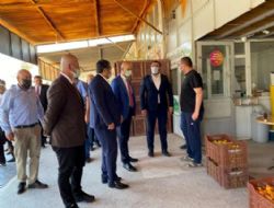 Başkan Volkan Şeker ve MHP Milletvekilleriyle beraber Hal ziyareti