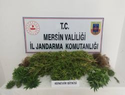 JANDARMADAN UYUTURUCU MADDE OPERASYONU