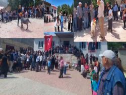 Keçi güzellik yarışması