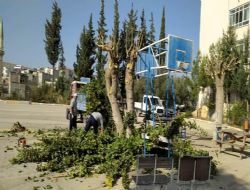 Mut'ta yollarn, park ve bahelerin klk bakm yaplyor