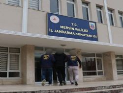 Dolandırıcılık Operasyonu