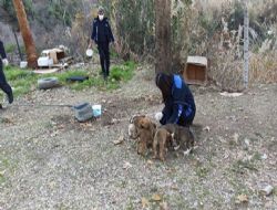 BELEDİYEDEN KUŞLA