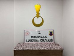 JANDARMADAN UYU�TURUCU OPERASYONU