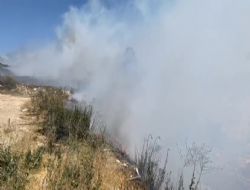 Mersinde iki ilede orman yangn
