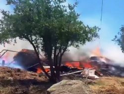 Koyun alnda kan yangn korkuttu