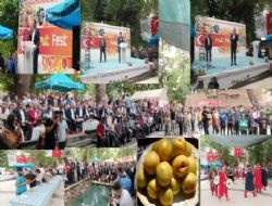 Mut Karacaoğlan Kayısı Kültür ve Sanat Festivali başladı