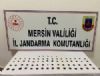 Tarihi Eser Kaakl operasyonu