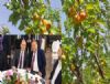 Mut Karacao�lan Kay�s� K�lt�r ve Sanat Festivali 5-6-7 Haziranda