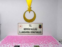 JANDARMADAN UYUŞTURUCU OPERASYONU