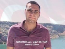 Şehit ateşi Gülnar'a düştü